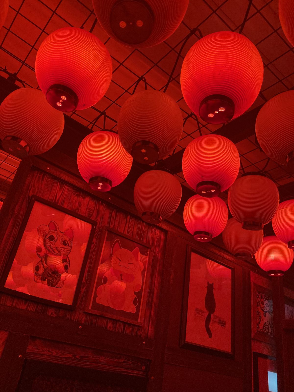 Red paper lanterns and cat art at a ramen spot, East Austin